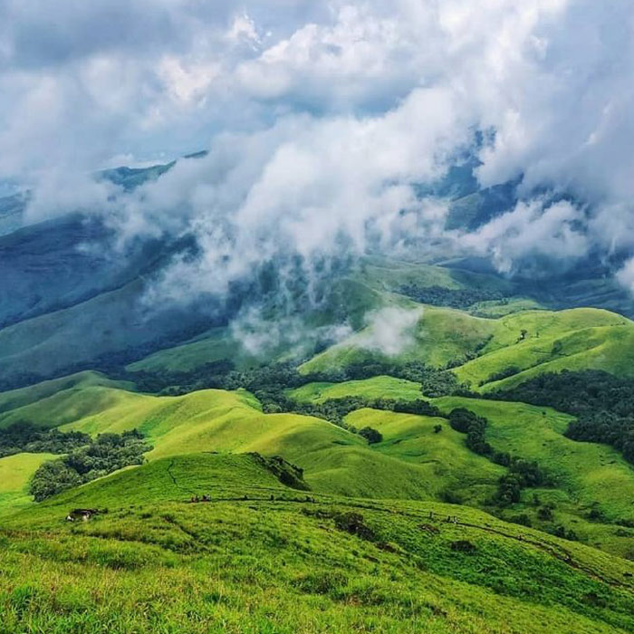 Bolkar Cashews Industries Location