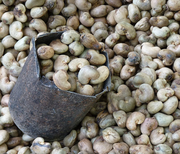 Raw Cashews nuts